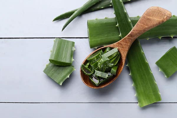 Aloe Vera is nature's best beauty tip for achieving flawless skin