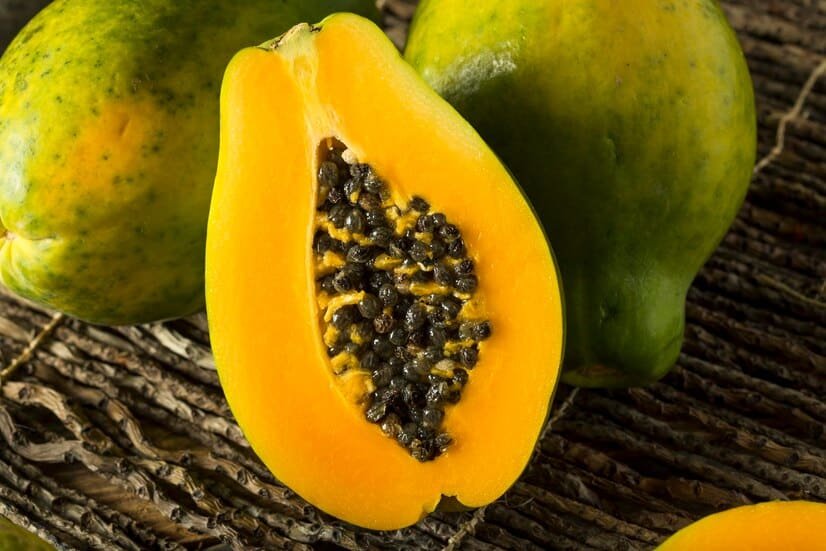 Papaya