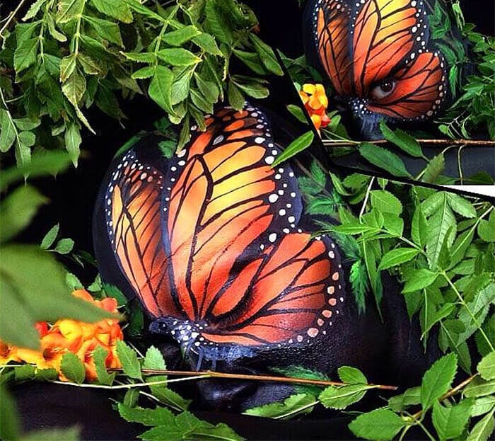 Butterfly Wiser Oner