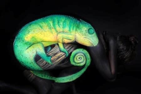 Chameleon Gesine Marwedel