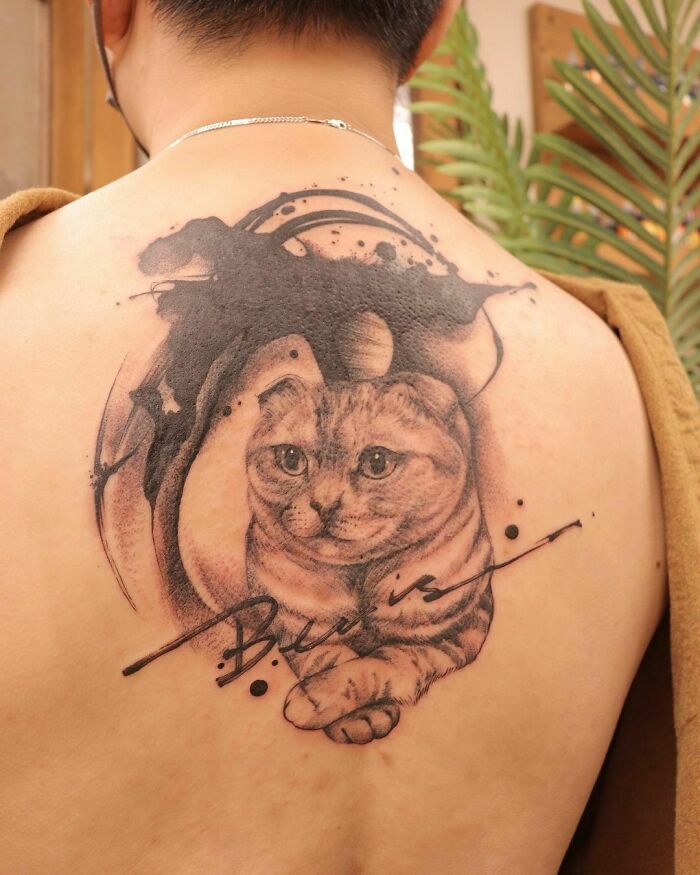 Cover Up With Cat Portraitbook