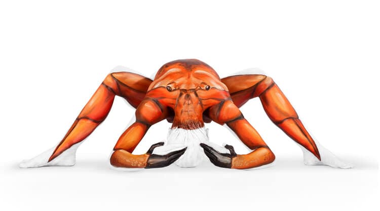 Crab Emma Fay