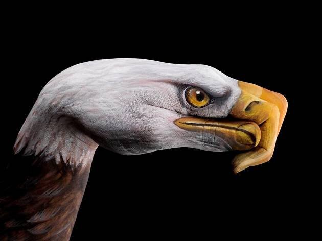 Eagle Guido Daniele