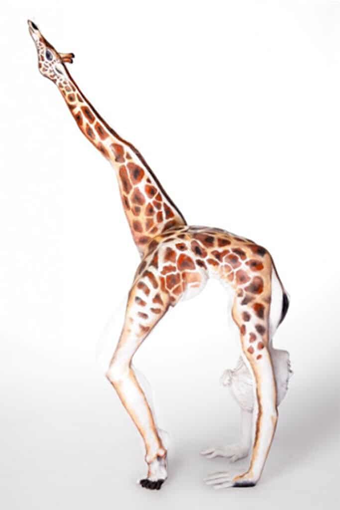 Giraffe Emma Fay