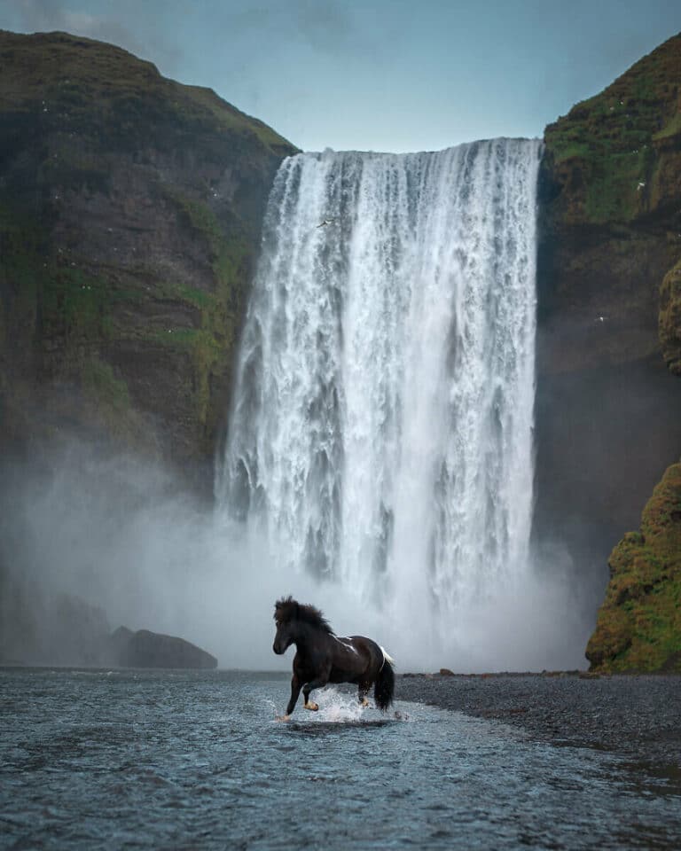 Horse In Majestic Waterfall