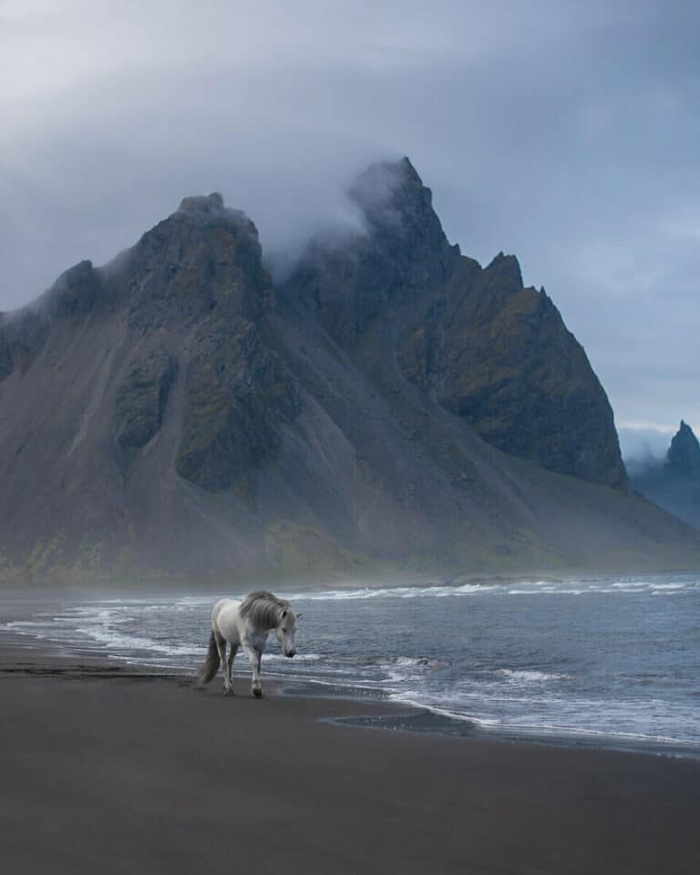 In Front Of The Vestrahorn Mountain