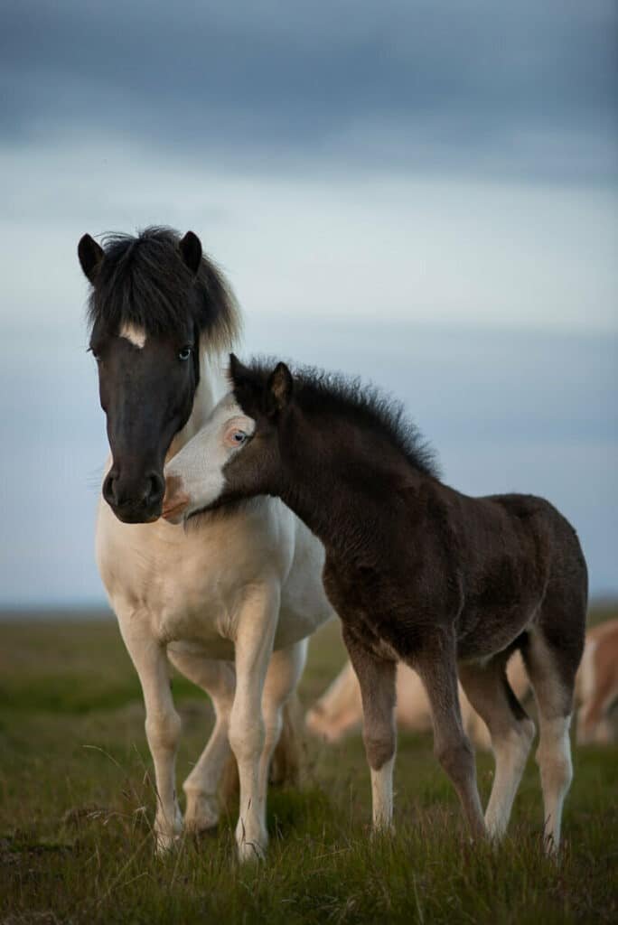 Mother And Daughter