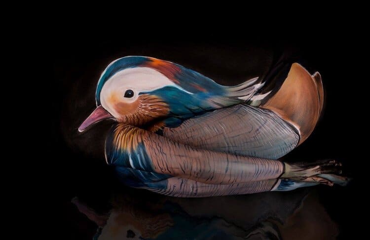Multicolored Bird Gesine Marwedel