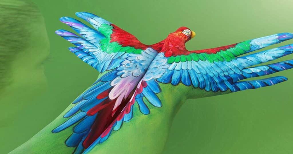 Multicolored Parrot Spinks Dean