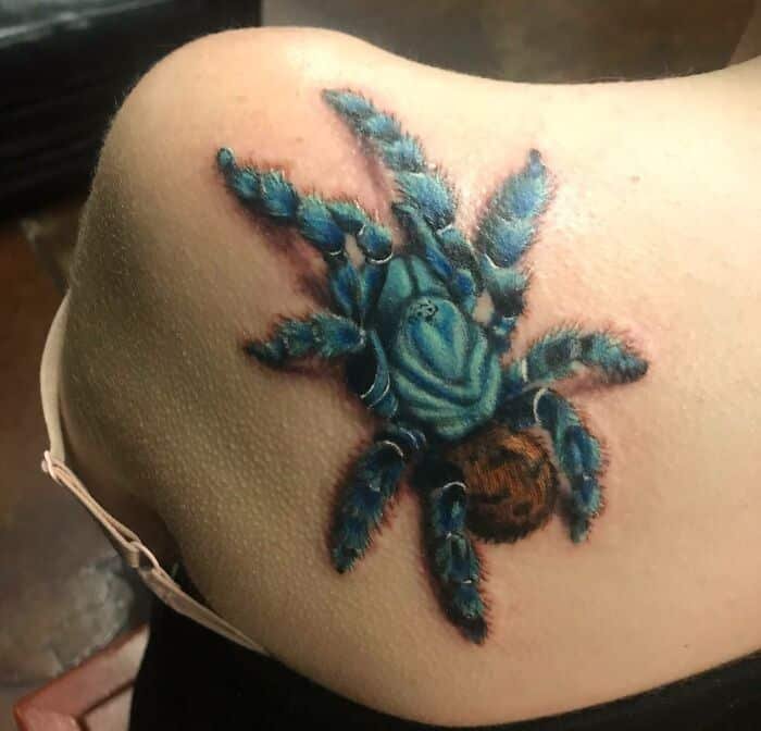  My Pet Tarantula Died So I Had Her Tattooed On My Shoulder