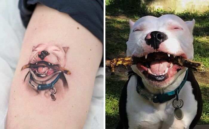 Pet Tattoo