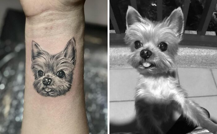  Pet Tattoo