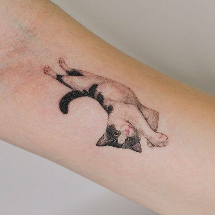 Pet Tattoo