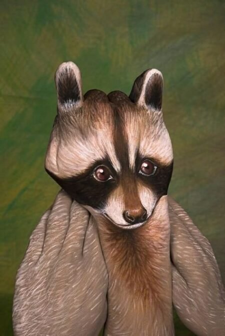 Raccoon Guido Daniele