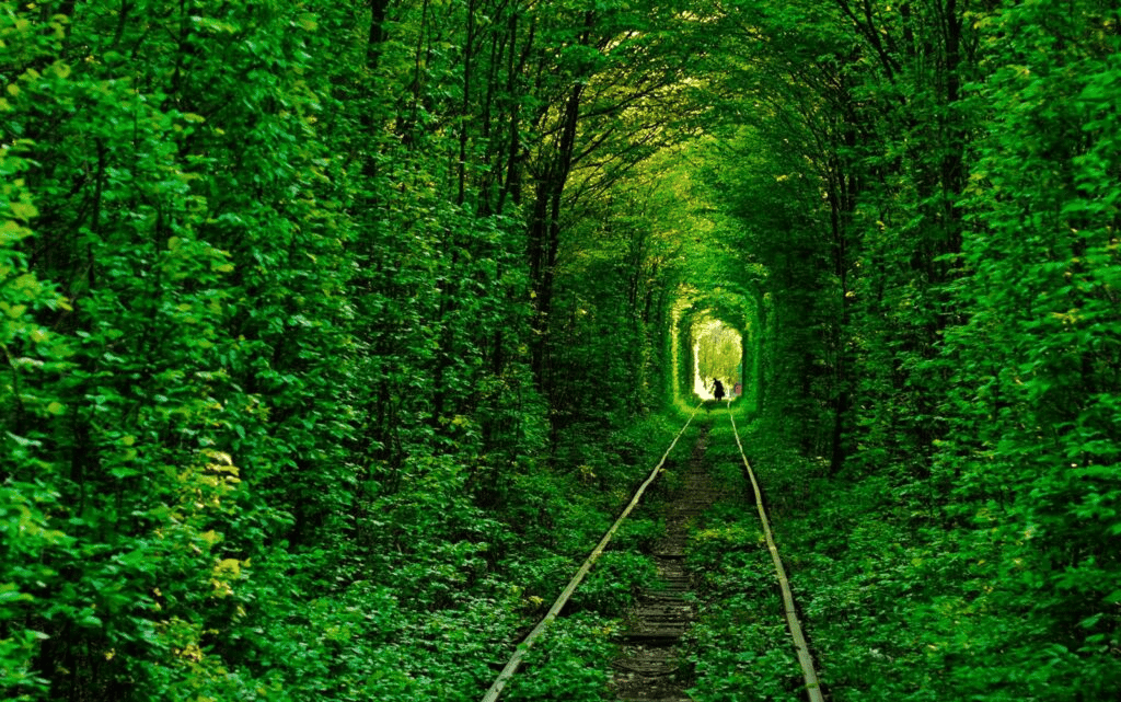 The Tunnel Of Love, Ukraine